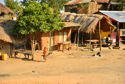 DSC_4359 (Large).JPG